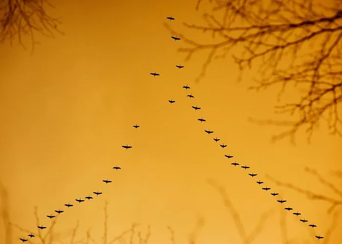 Prázdninový dům Pod Jablonka