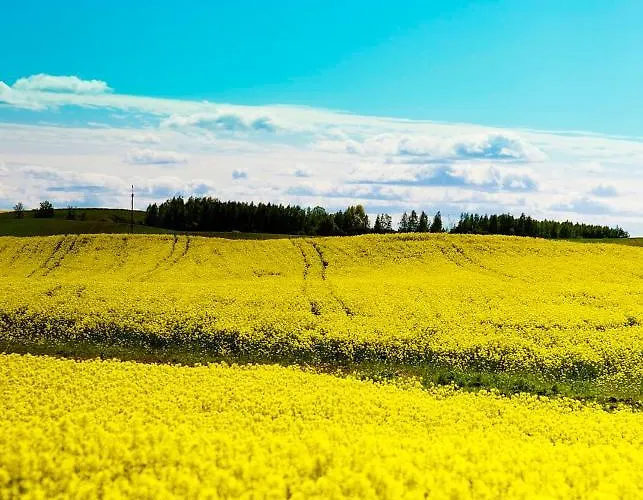 Prázdninový dům Pod Jablonka *