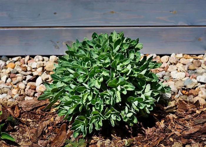 Pod Jablonka Prázdninový dům Elganowo