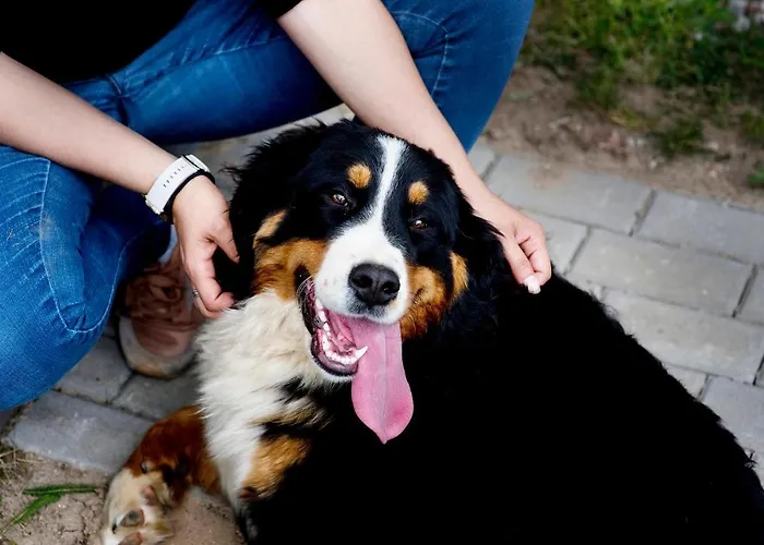 Pod Jablonka Prázdninový dům Elganowo